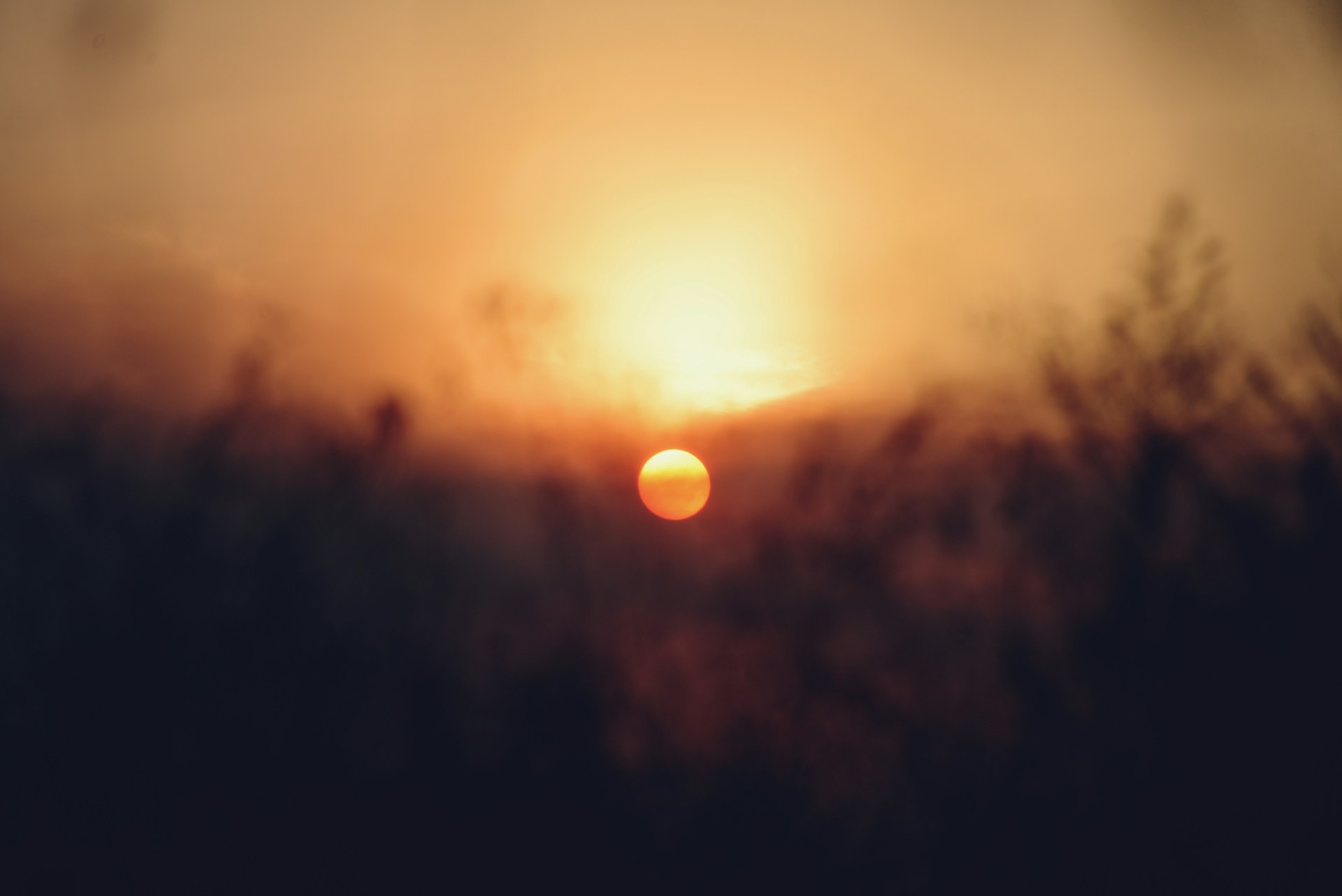 Astres dans le ciel - astrologie